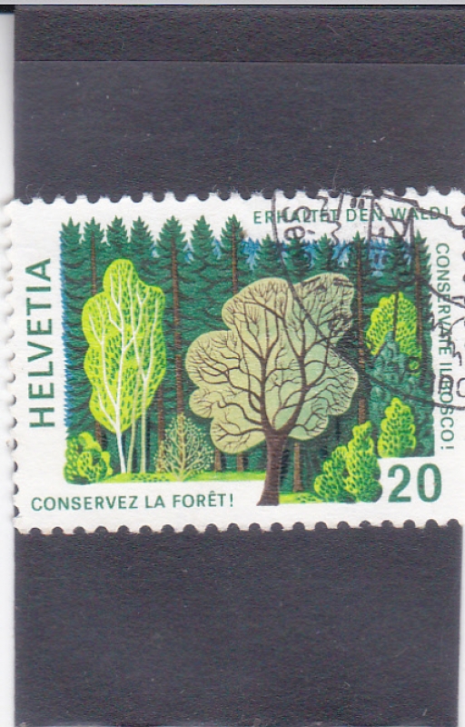 conservación forestal