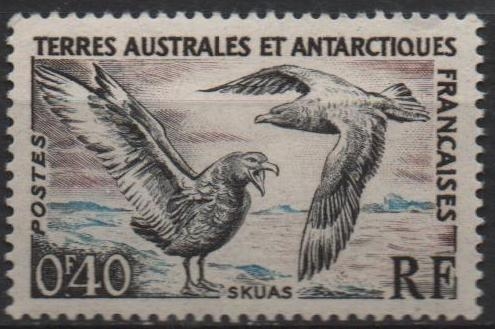 Skuas