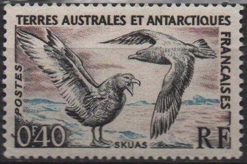 Skuas