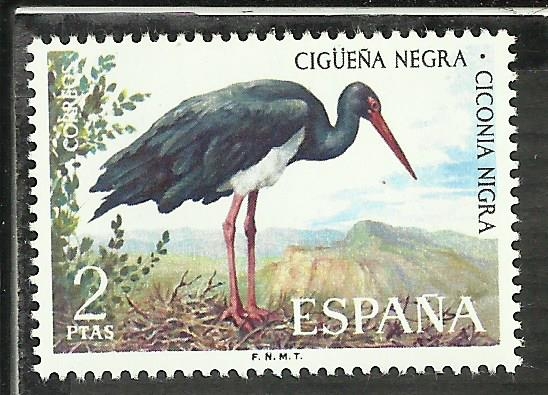 Cigüeña Negra