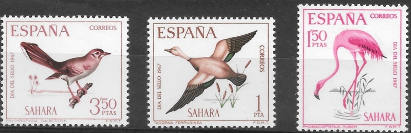 Sahara español