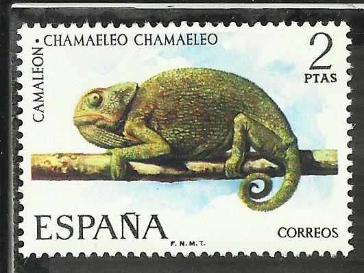 Camaleon