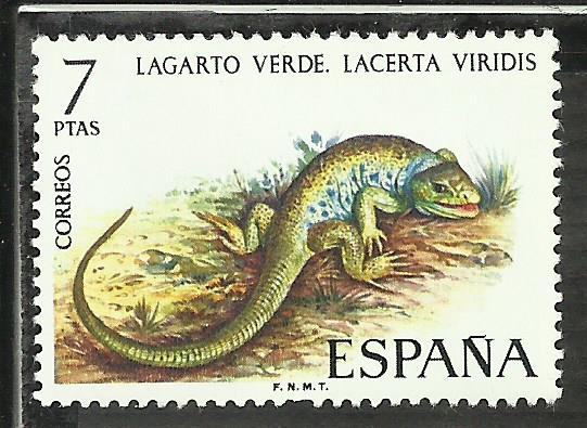 Lagarto Verde