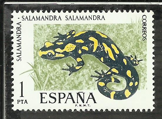 Salamandra