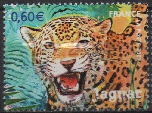 Jaguar