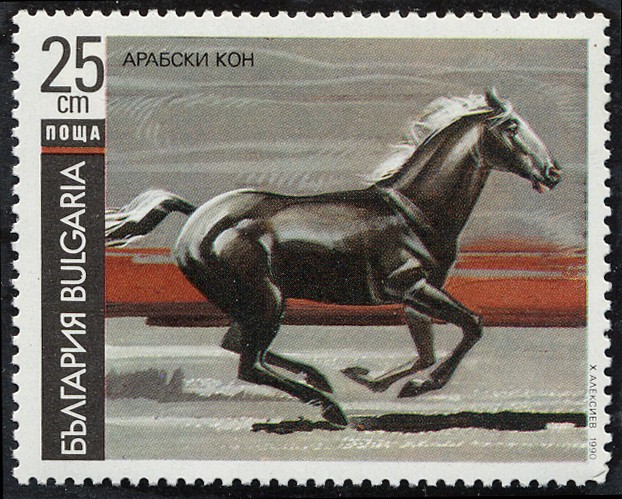 Caballos