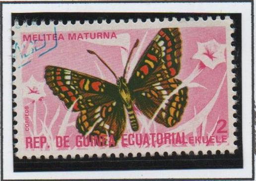 Mariposas, Melitea maturna