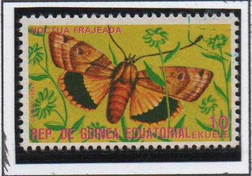 Mariposas, Moctua Frajeada