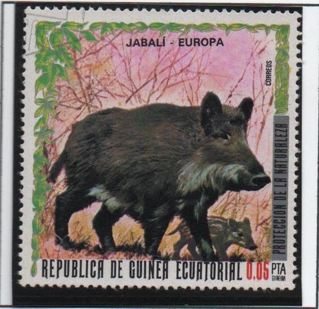 animales europeos. Jabalí