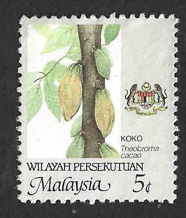 3 - Árbol del Cacao (WILAYAH PERSEKUTUAN)