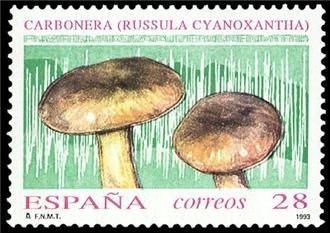 ESPAÑA 1993 3246 Sello Nuevo Micología Setas, Mushrooms Carbonera Michel3104 Scott2702