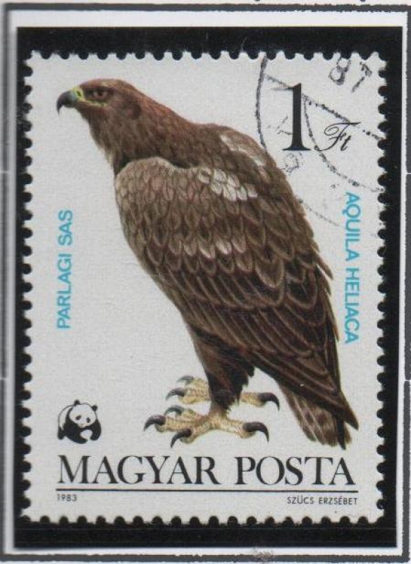 Aguila heliaca