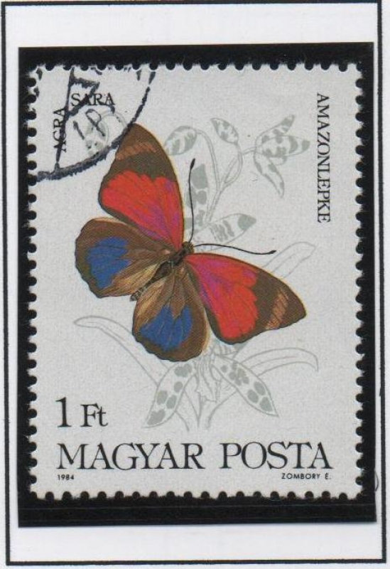 Mariposas, Agra sara