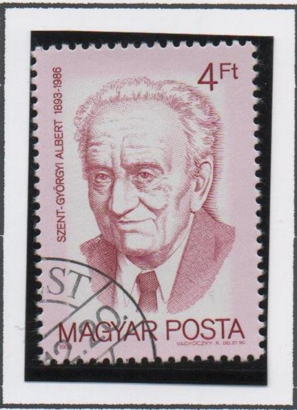 Alberto Szent-Gyorgyi (1893-1986)