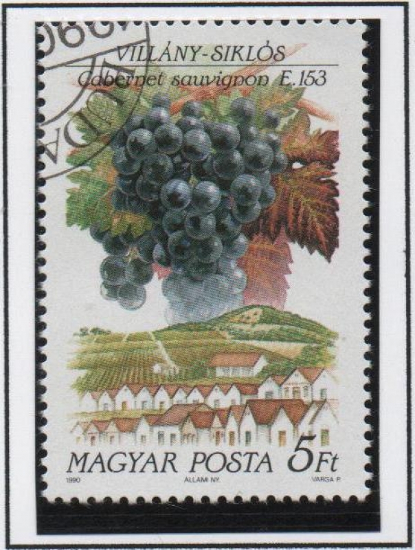 Uvas y Zonas Productoras d' Vino; Cabernet Sauvignon