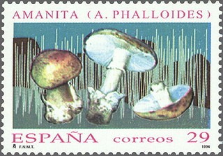 ESPAÑA 1994 3281 Sello Nuevo Micología Mushrooms Amanita (Amanita Phalloides) Michel3142 Scott2761