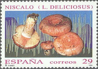 ESPAÑA 1994 3282 Sello Nuevo Micología Mushrooms Niscalo (Lactarius deliciosus) Michel3143 Scott2762