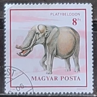 Animales prehistóricos:  Platybelodon