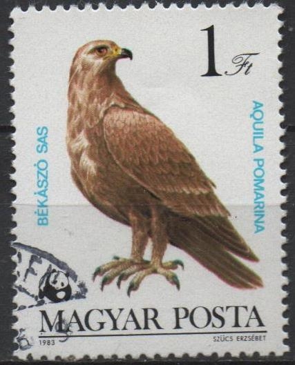 Aguila pomarina