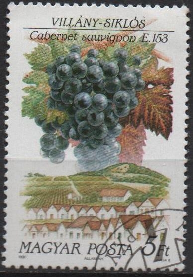 Uvas y Zonas Productoras d' Vino; Cabernet Sauvignon