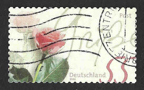 2227 - Rosa