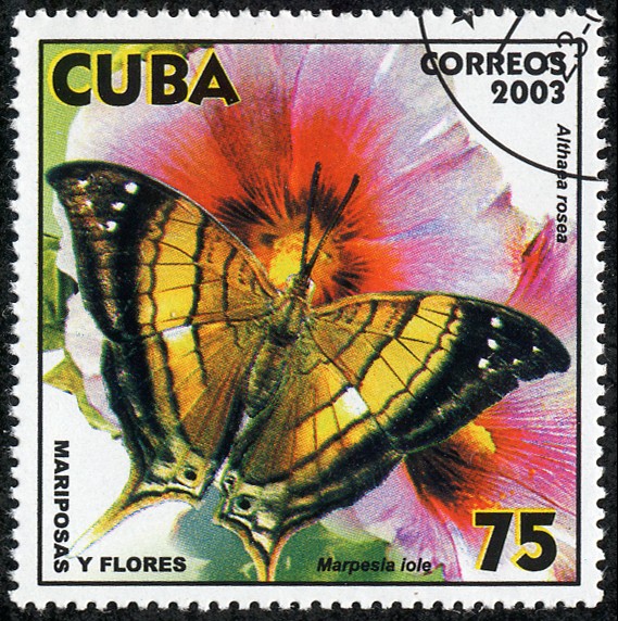 Mariposas