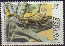 ESPAÑA 1999 3614 Sello Fauna Española en peligro extinción Lagarto gigante de El Hierro Usado Michel