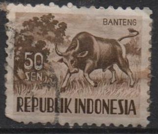 Banteg