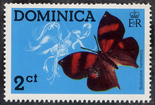 Mariposas