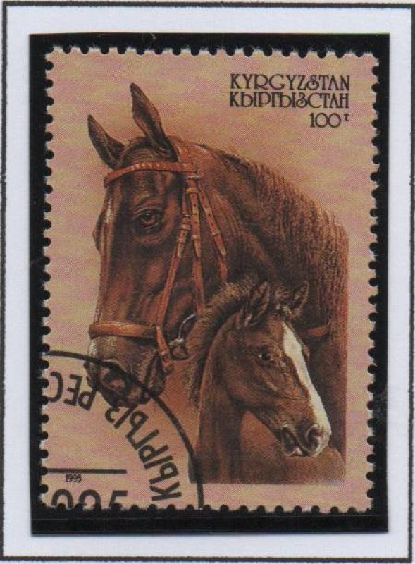 Caballos