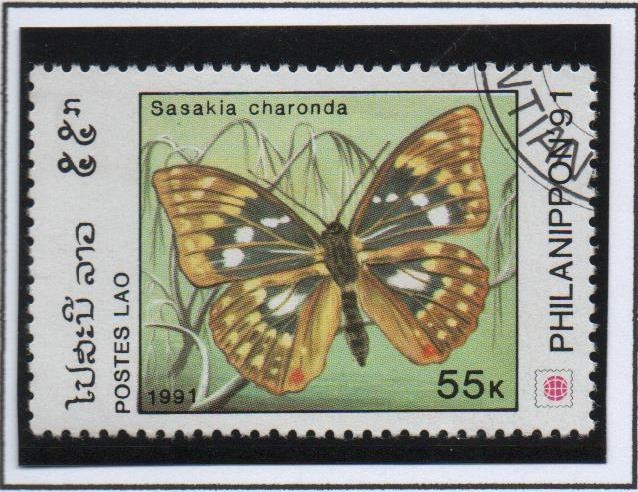 Mariposas; Sasakia charonda