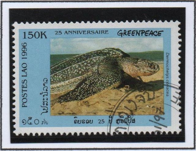 Greenpeace 25 Anv. Dermochelys coriacea onsand