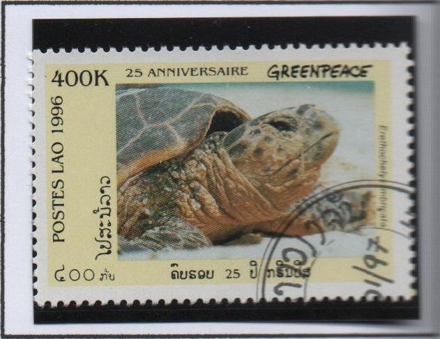 Greenpeace 25 Anv. Erethochelys Imbricata