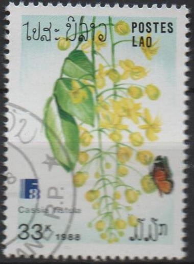 Flores, Cassia fistula