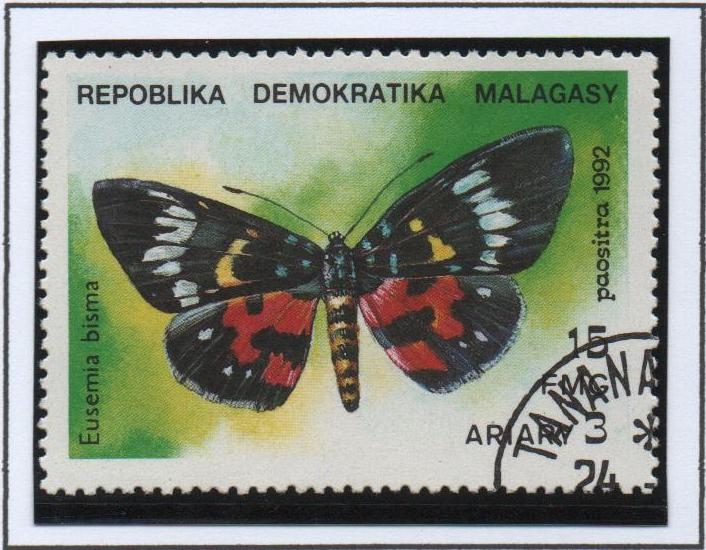 Mariposas, Eusemia bisma