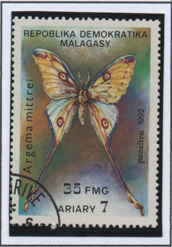 Mariposas, Argema mittrei