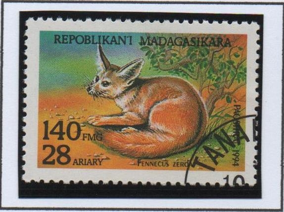 Fennecus zerd