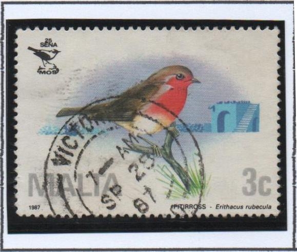 25 Anv. Sociedad Ornithological, Erithacus rubecula