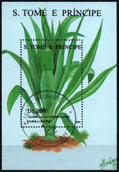 Plantas medicinales y orquídeas