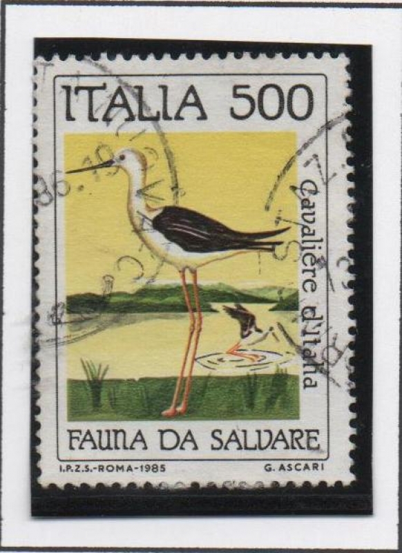 Conservación d' l' Naturaleza, Correlimos Italiano