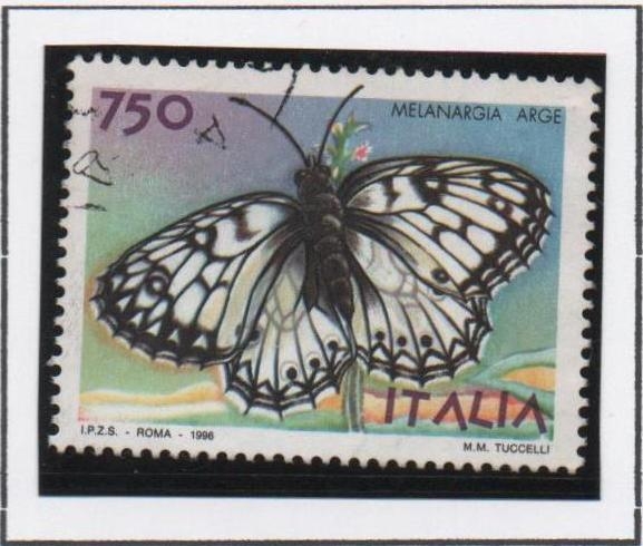 Mariposas. Melanargia