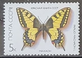 Mariposas - Maxach