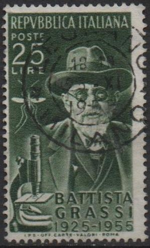 Battista Grassi