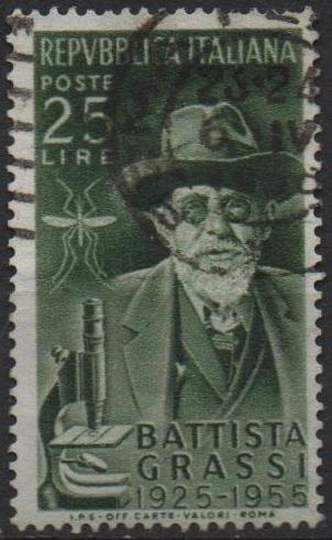 Battista Grassi