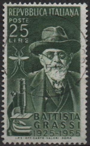 Battista Grassi