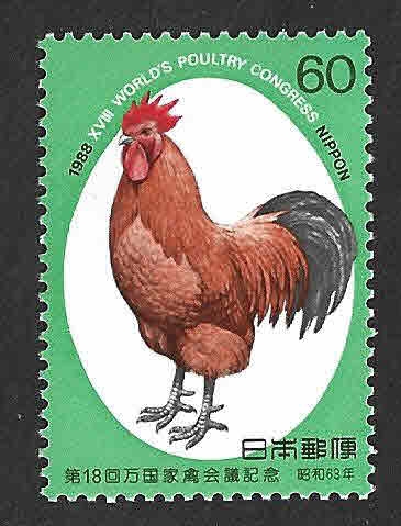 1806 - Gallo de Nagoya