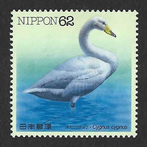 2109 - Cisne Cantor