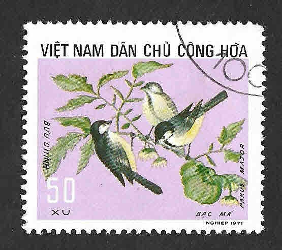 706 - Carbonero Común (VIETNAM DEL NORTE)