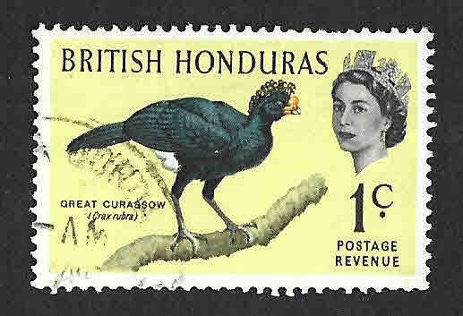 167 - Pavón Norteño (HONDURAS BRITANICAS)