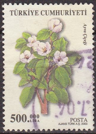 TURQUIA Turkia 2003 Scott 2861 Sello Serie Flora Membrillo Ayva Cicegi usado